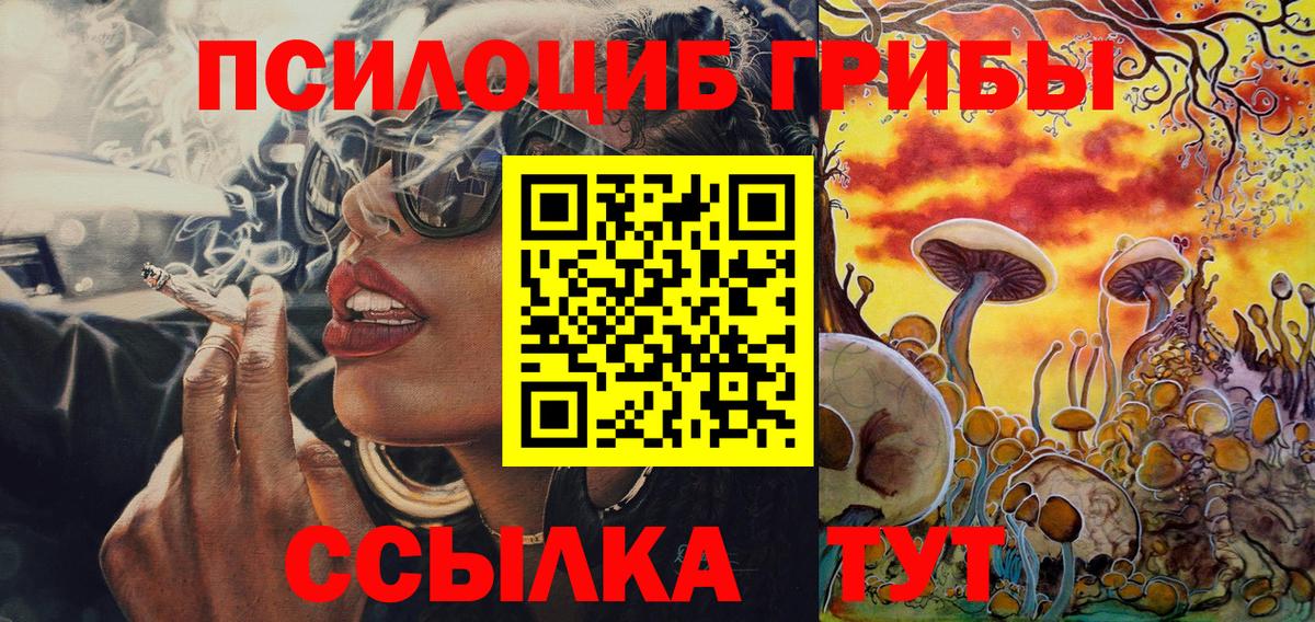 Азнакаево  Псилоцибиновые грибы мицелий  Вход с VPN 