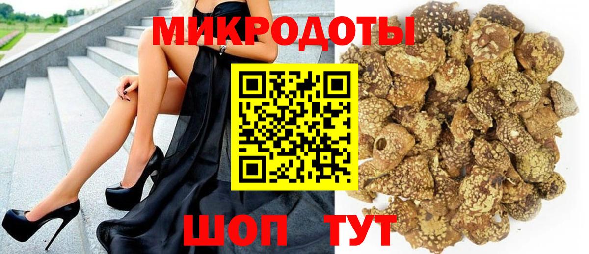 Псилоцибиновые грибы Psilocybine cubensis Азнакаево